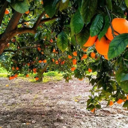 Hétvégi ház Terra Di Mare