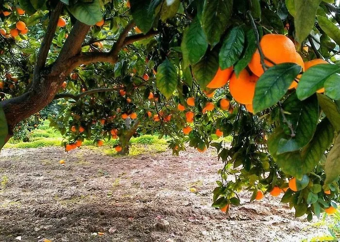 Lantställe Terra Di Mare